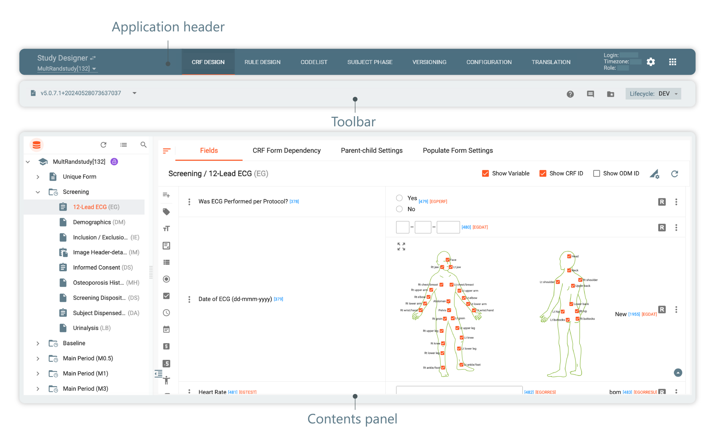 Study Designer UI structure