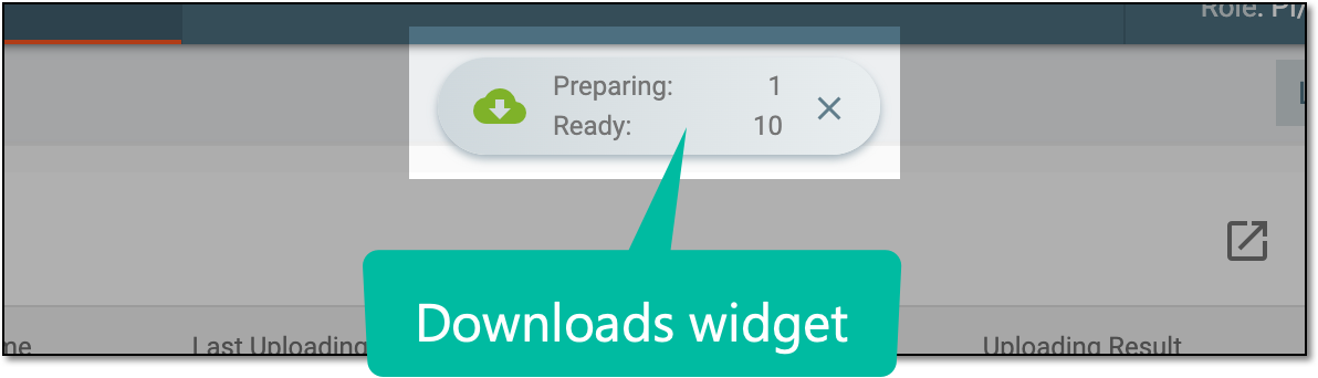 Downloads widget for order file list export